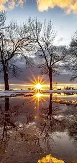 Sunset reflecting on a winter landscape with trees and colorful sky.