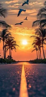Road with palm trees and an orange sunset