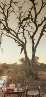 A serene safari camp under a sunset sky.