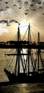 Silhouette of a sailboat at sunset with birds flying over the sea.