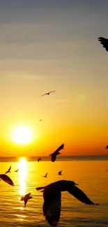 Birds silhouetted against a vibrant sunset over the sea.