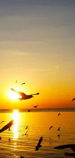 Golden sunset with seagulls over ocean horizon.