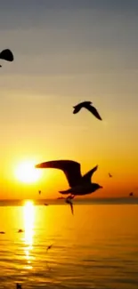 Stunning sunset with seagulls flying over the ocean, creating a serene and picturesque scene.