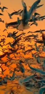 Seagulls flying at sunset over the sea.