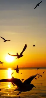 Sunset over ocean with seagulls flying gracefully.