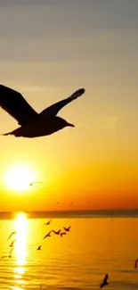 Seagulls flying over ocean at sunset with golden hues.