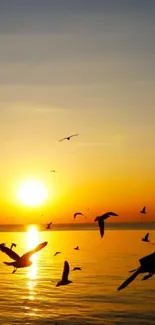 Seagulls flying over ocean at sunset with golden sky.