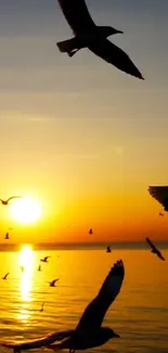 Seagulls flying over a sunset-lit ocean.