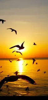 Seagulls flying over ocean at sunset.