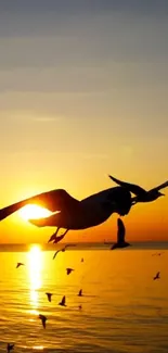 Seagulls flying over ocean during a vibrant sunset.