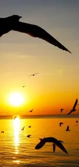 Mobile wallpaper of birds flying over a golden sunset seascape.