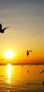 Silhouetted birds flying against a golden sunset over calm ocean waters.