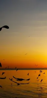 Silhouetted birds flying during sunset over the ocean.