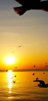 Sunset over ocean with birds silhouetted against an orange sky.