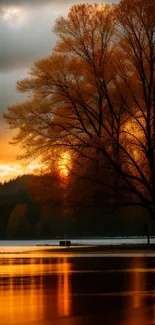 Golden sunset reflecting on lake with silhouetted tree.