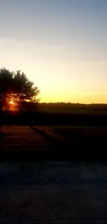 Scenic sunset with tree silhouettes casting shadows over a golden sky.