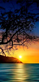 Silhouetted tree with vibrant ocean sunset view.