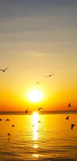 Sunset over ocean with birds flying above.