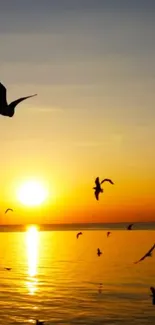 Silhouette of birds in flight over a serene sunset ocean view.