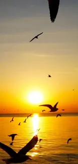 Seagulls flying at sunset over a calm ocean.