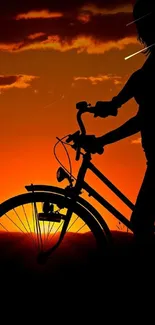 Silhouette of person on bicycle with dog at sunset.