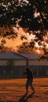 Silhouette of a person walking at sunset under trees.