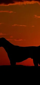 Silhouette of dog at sunset against vibrant orange sky.