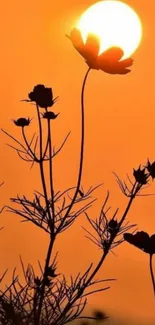 Silhouetted flowers with an orange sunset backdrop for mobile wallpaper.