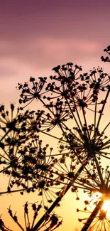 Silhouette of flowers against a vibrant sunset sky wallpaper.