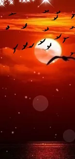 Silhouette of birds flying at sunset against a red sky.