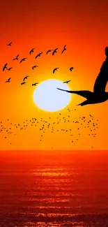 Silhouette of birds flying at sunset over the ocean with an orange sky backdrop.