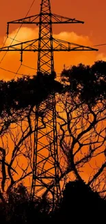 Silhouette of trees and power lines against an orange sunset sky.