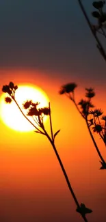 Silhouette of wildflowers against a vivid orange sunset sky.