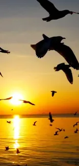 Silhouetted birds fly over sunset-lit ocean.