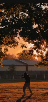 Silhouetted figure under tree against a sunset backdrop.