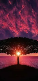 Silhouette of a tree with a vibrant pink sunset behind.