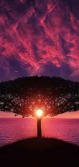 Vibrant sunset with silhouetted tree by the ocean, stunning mobile wallpaper.