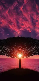Silhouetted tree against a vibrant sunset sky on mobile wallpaper.