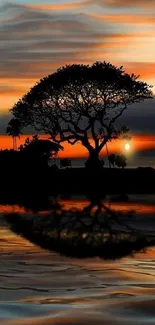 Silhouette of a tree at sunset with reflection on water.