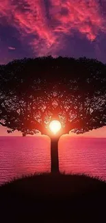 Stunning sunset silhouette tree with pink skies over ocean scene.