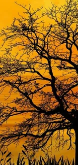 Silhouette of tree against vibrant orange sunset sky.