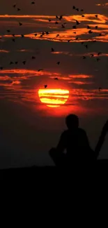 Silhouette figure against vibrant sunset sky with birds.