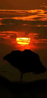 A stunning orange sunset with a tree silhouette against the sky.