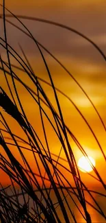 Silhouette of grasses against an orange sunset sky wallpaper.