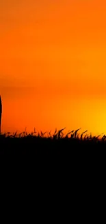 Silhouette against vibrant orange sunset on mobile wallpaper.