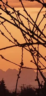 Silhouetted branches against orange sunset sky and distant mountains.