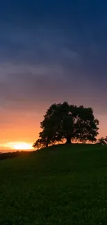 Silhouette of a tree against a colorful sunset sky with a grassy foreground.