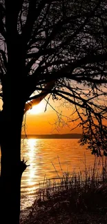 Silhouette of a tree during a sunset by a serene lake, with vibrant sky colors.