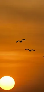 Birds flying at sunset with orange sky.