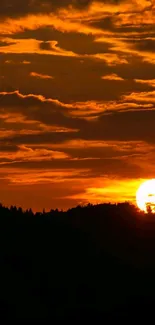 Silhouette of trees against a vibrant orange sunset sky.